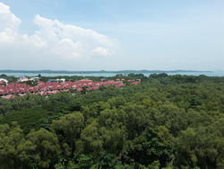 Blk 505 Pasir Ris Street 52 (Pasir Ris), HDB Executive #130962722